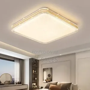 Modern Ceiling Light.