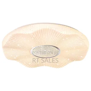 Decor Ceiling Light.