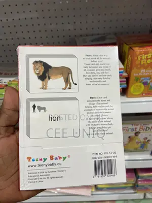 Parent-Child Interactive Educational Toy, Early Education Flash Card