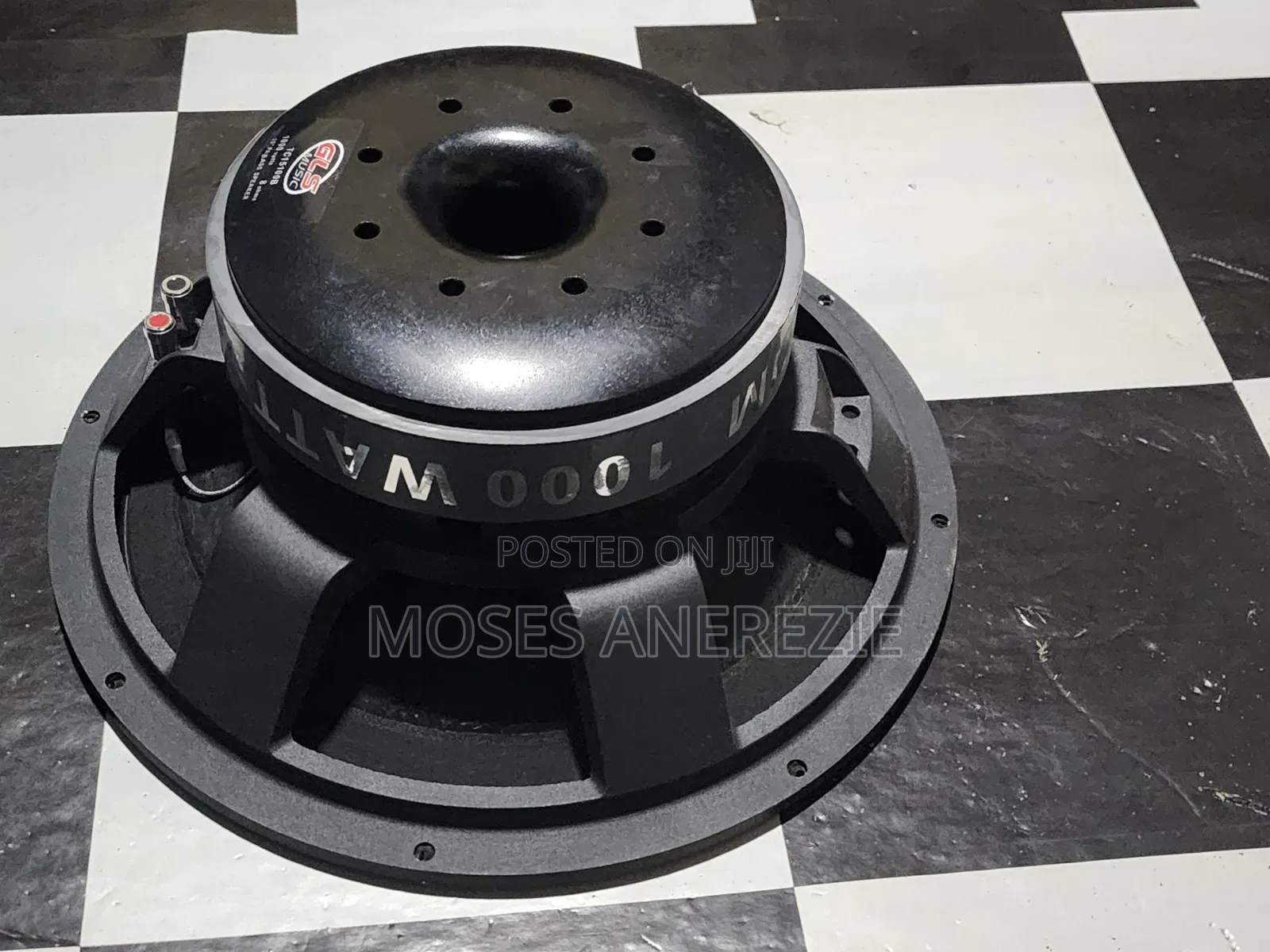 Magnetic Speaker