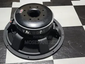 Magnetic Speaker