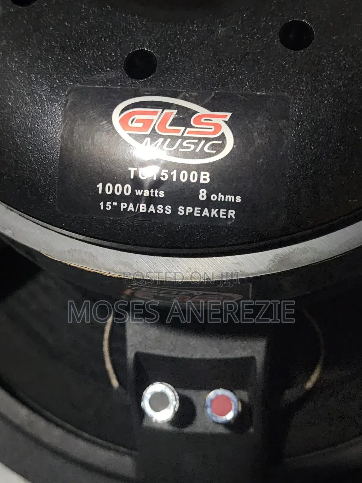 Magnetic Speaker