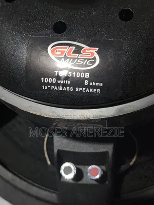 Magnetic Speaker