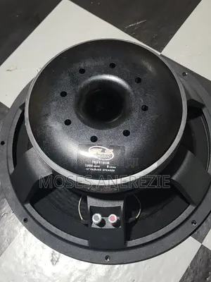 Magnetic Speaker