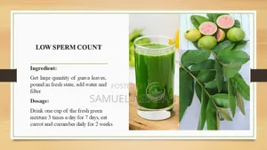 E-Book (Natural Herbal Food Item That Can Cure)