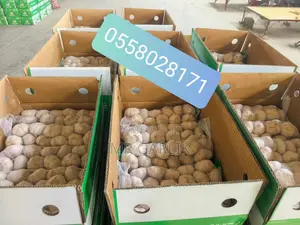 Garlic Fresh Wholesale and Retail,