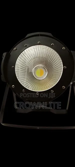 Cob Light 100w