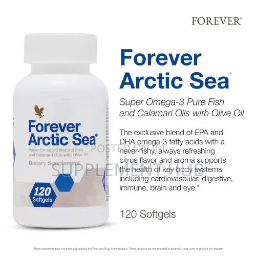 Forever Arctic Sea