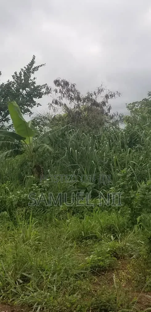 One Plot of Land for Sale Pakyi No 1