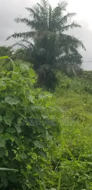 One Plot of Land for Sale Pakyi No 1