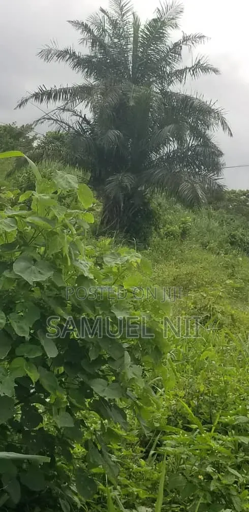 One Plot of Land for Sale Pakyi No 1