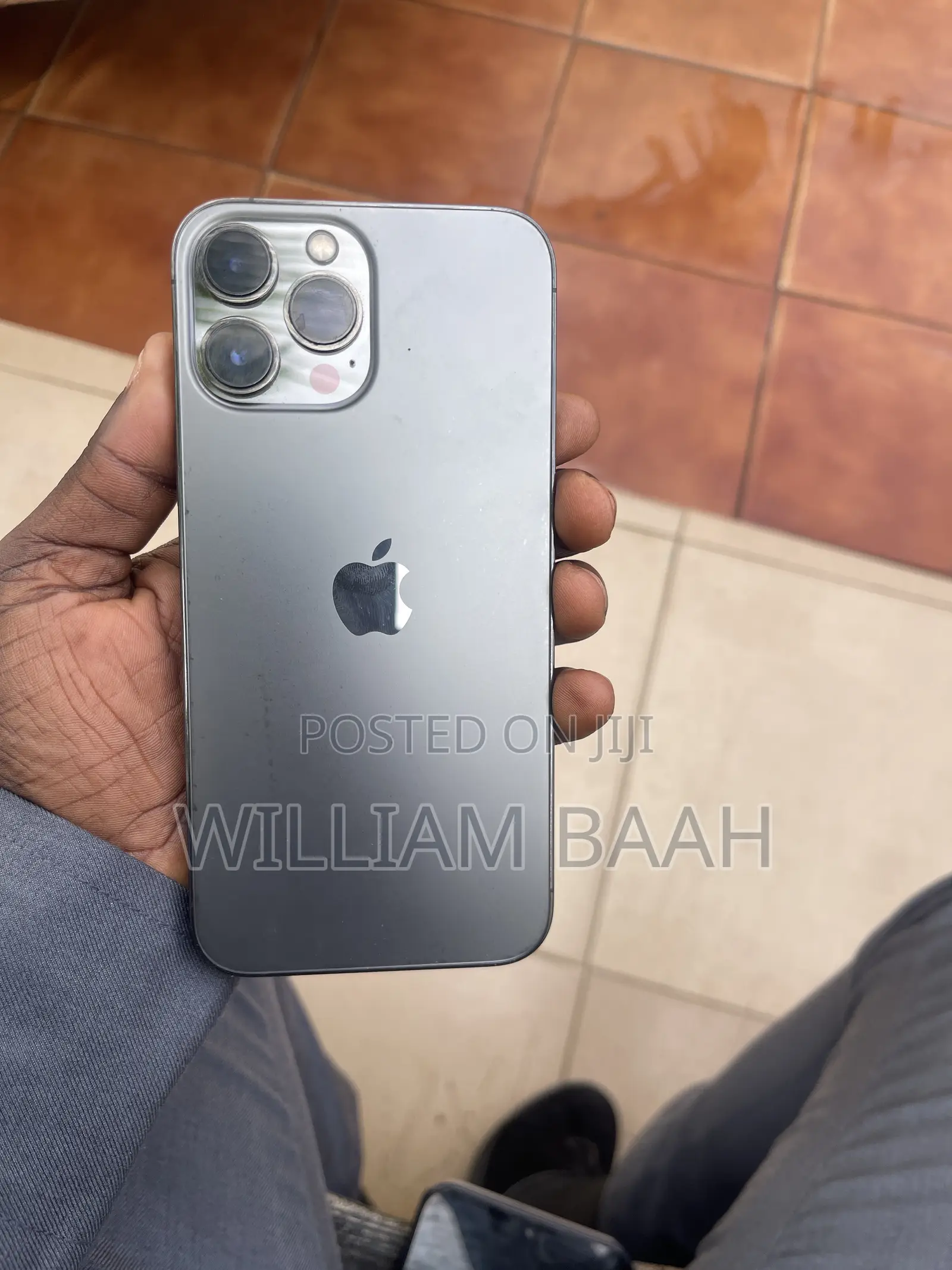 Apple iPhone 13 Pro Max 256 GB Gray