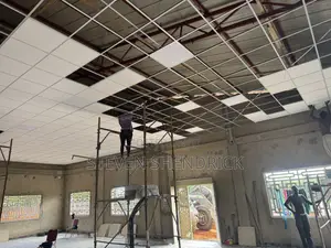 Acoustic Ceiling Materials