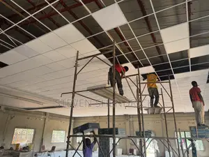 Acoustic Ceiling Materials