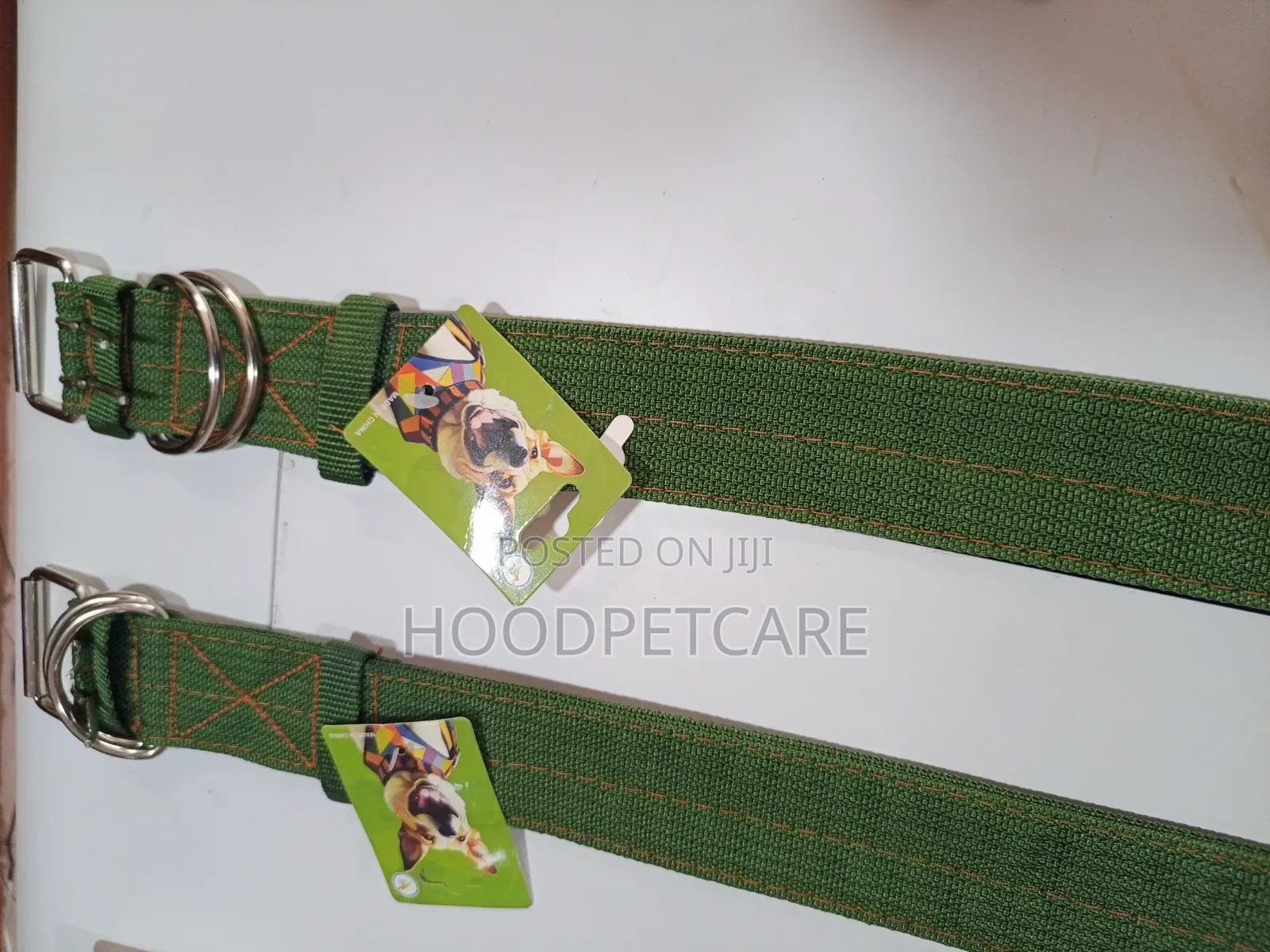 Dog Collar for Big Dogs