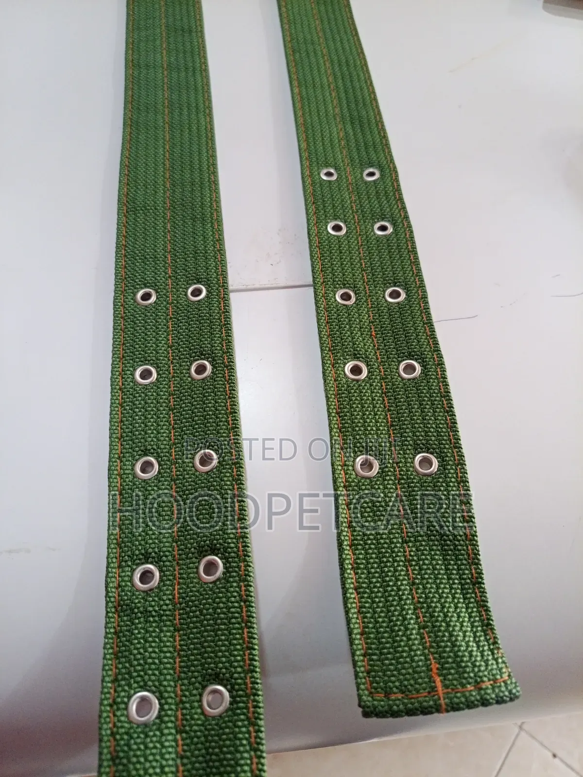 Dog Collar for Big Dogs