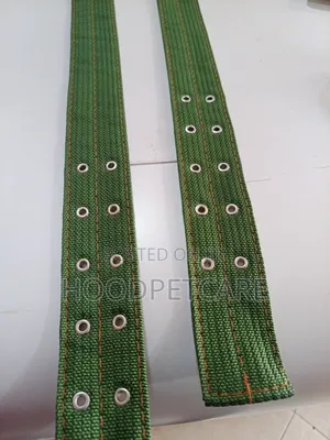 Dog Collar for Big Dogs