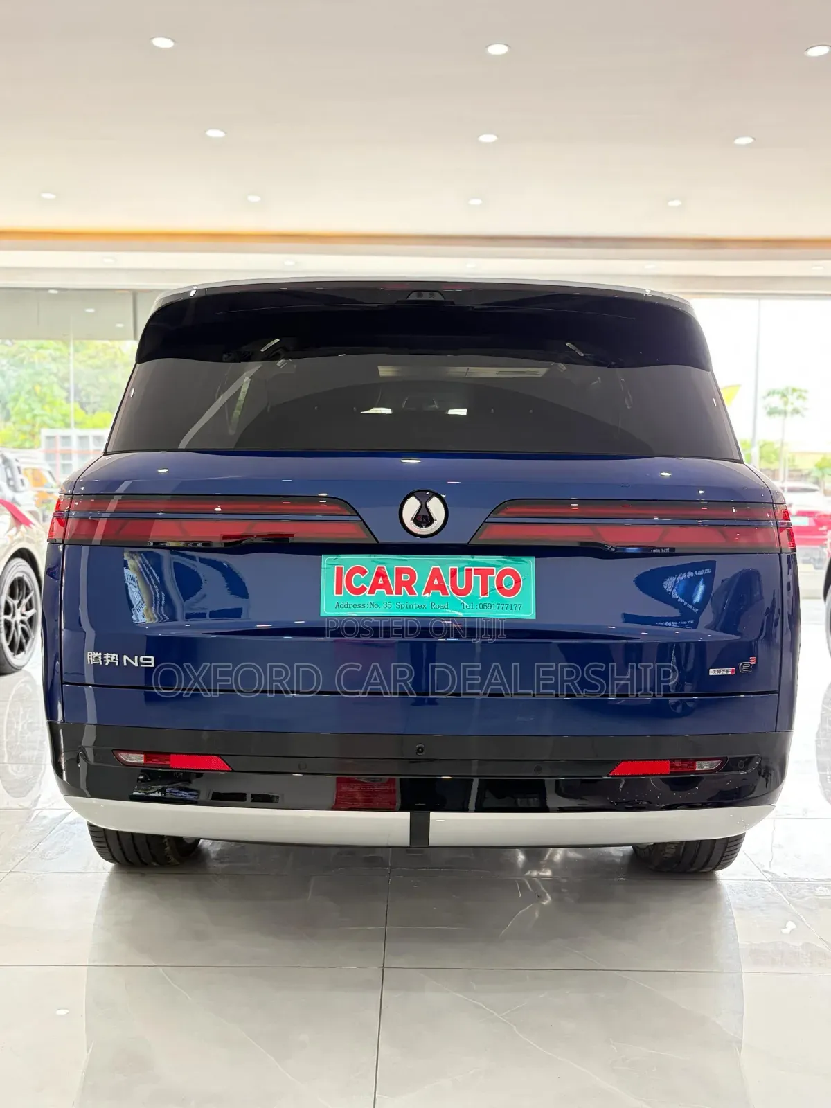 New Denza N9 2025 Blue