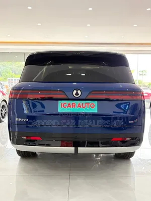 New Denza N9 2025 Blue