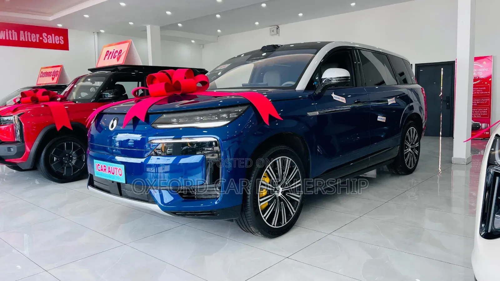 New Denza N9 2025 Blue
