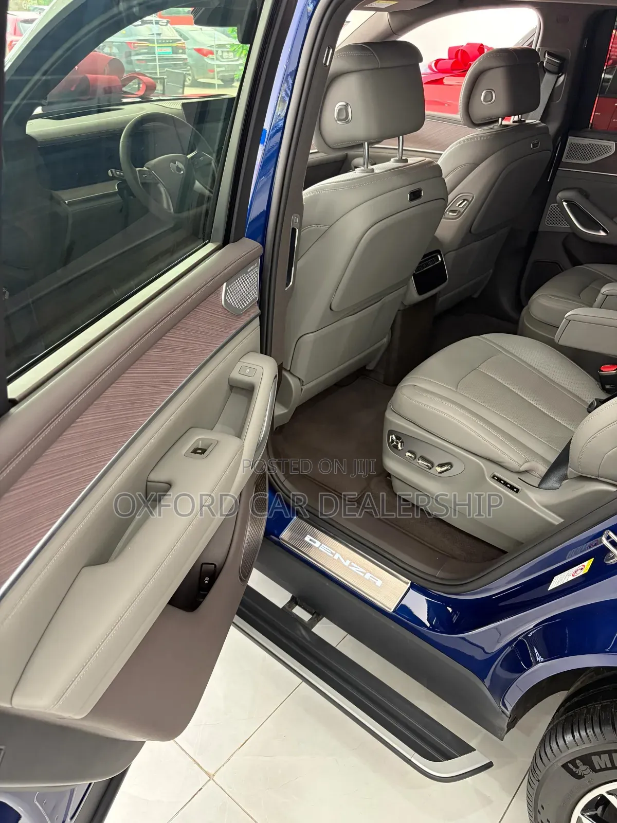 New Denza N9 2025 Blue