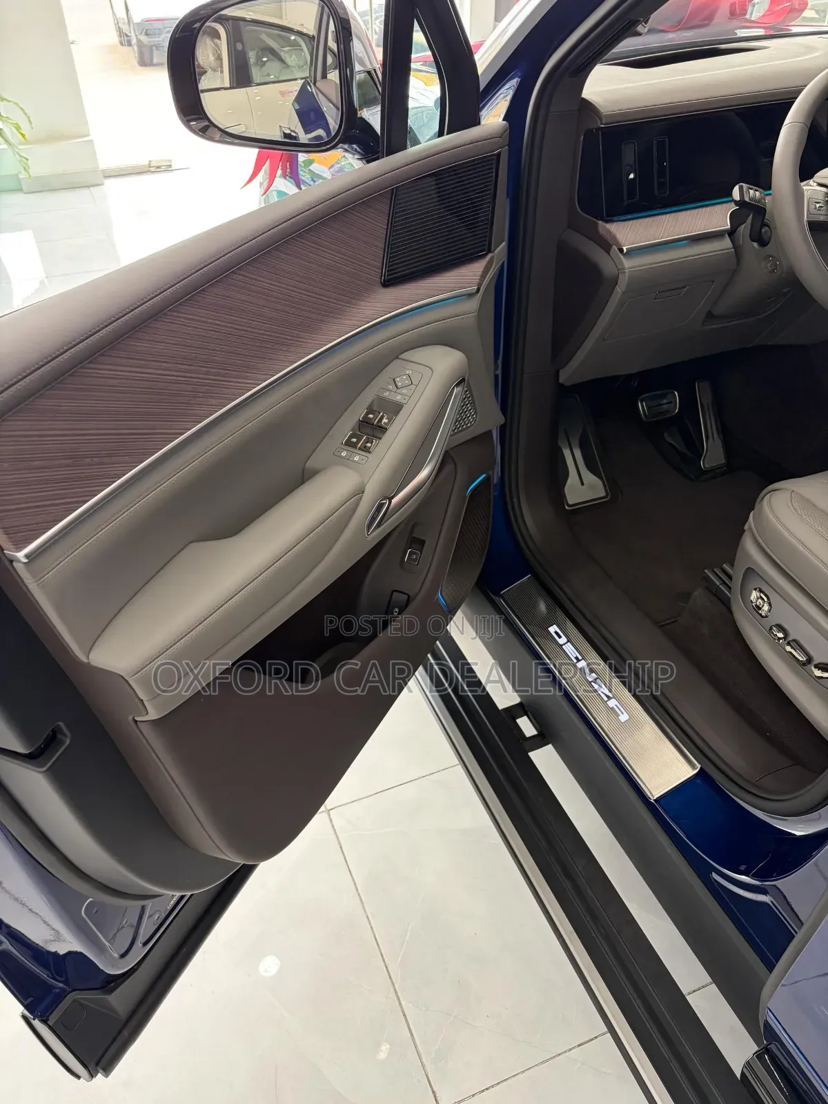 New Denza N9 2025 Blue