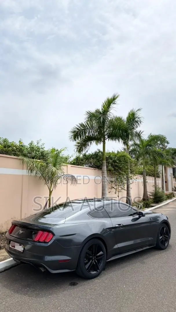Ford Mustang EcoBoost Premium Fastback 2019