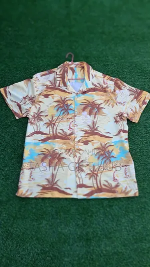 Father's Day Packages / Grade a Uk Thrift Men Shirt