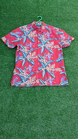 Father's Day Packages / Grade a Uk Thrift Men Shirt