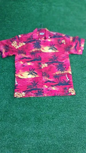 Father's Day Packages / Grade a Uk Thrift Men Shirt