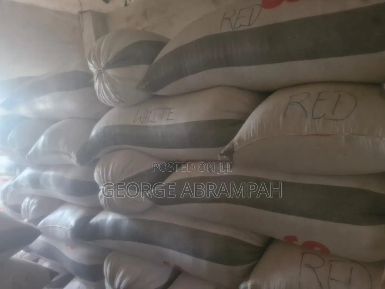 Dried Bagged Maize for Quick Sale! 