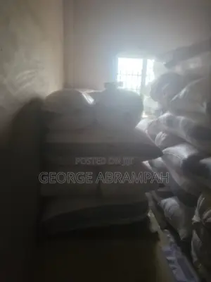 Dried Bagged Maize for Quick Sale! 