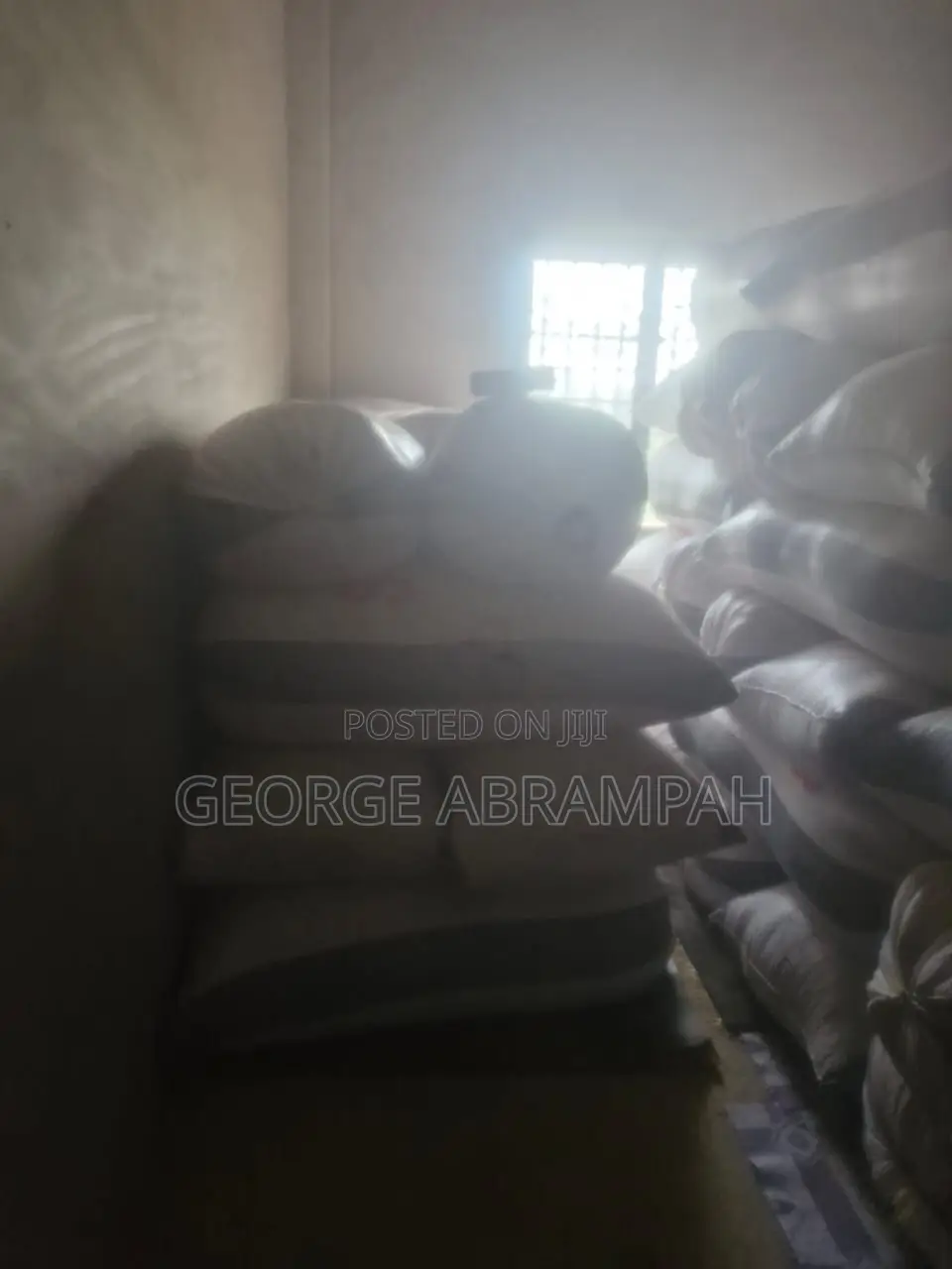 Dried Bagged Maize for Quick Sale! 