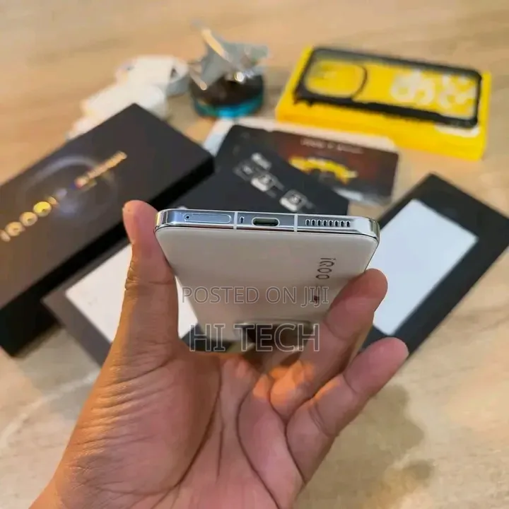 Vivo iQOO 13 512 GB Gray