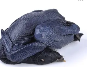 Ayam Cemani Chicken