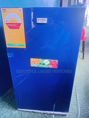 Elegant Freshness Refrigerator