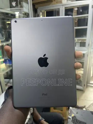 Apple iPad Air 16 GB Silver