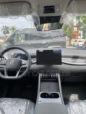 New BYD Yuan Plus 2025 Gray