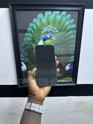 Apple iPhone 12 Pro Max 128 GB Black