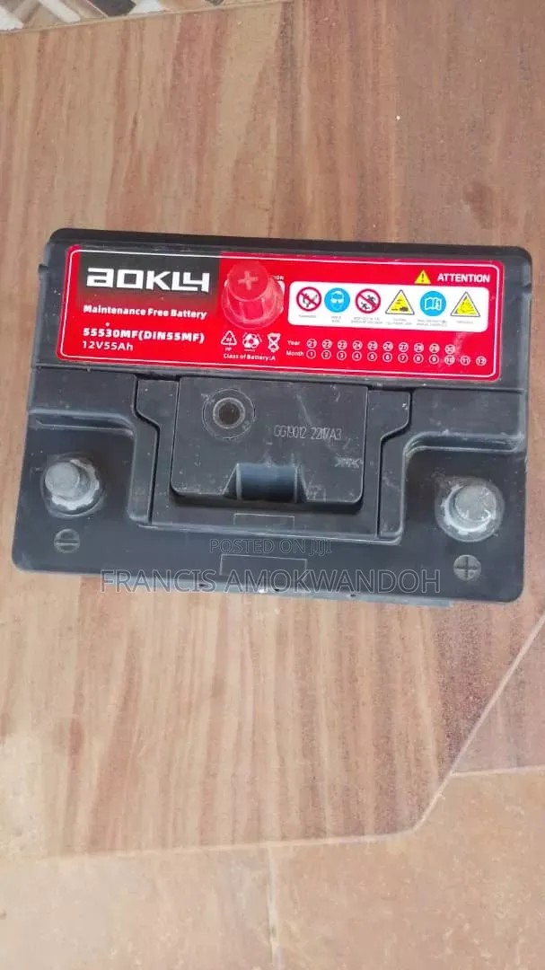 Aokly Car Battery