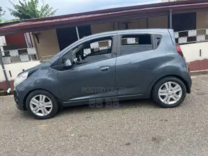 Chevrolet Spark 2014 Gray