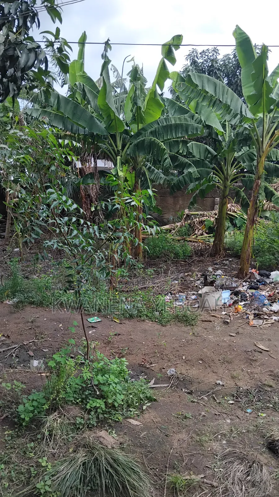 Half Plot of Land for Sale