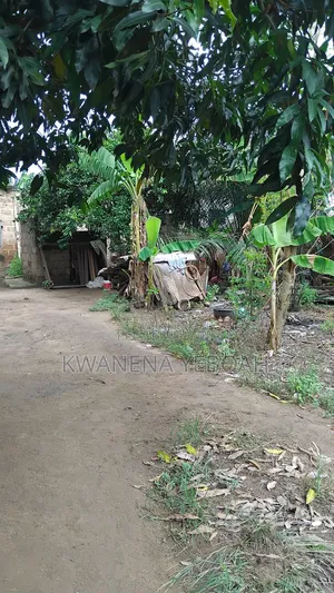 Half Plot of Land for Sale