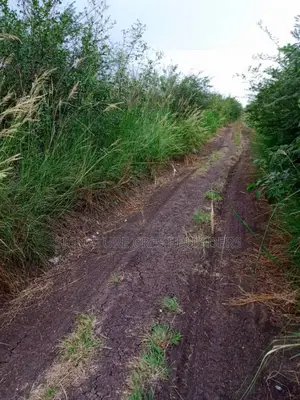 Secure Your Plot at a Prime Location