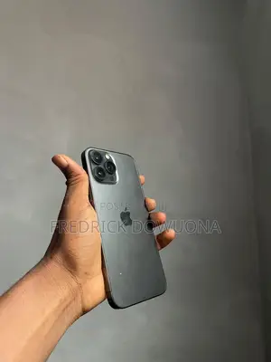 Apple iPhone 13 Pro Max 256 GB Black