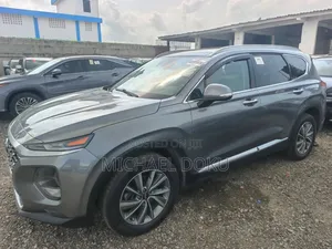 Hyundai Santa Fe 2019 Gray