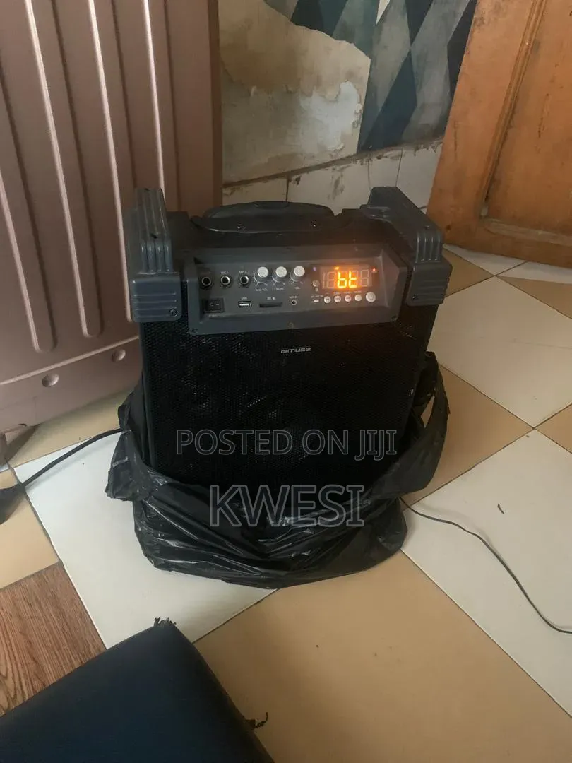 Muse M-19 Guitar Combo