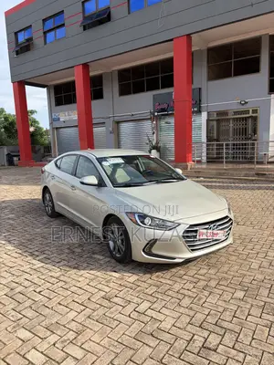 Hyundai Elantra 2016 Gray