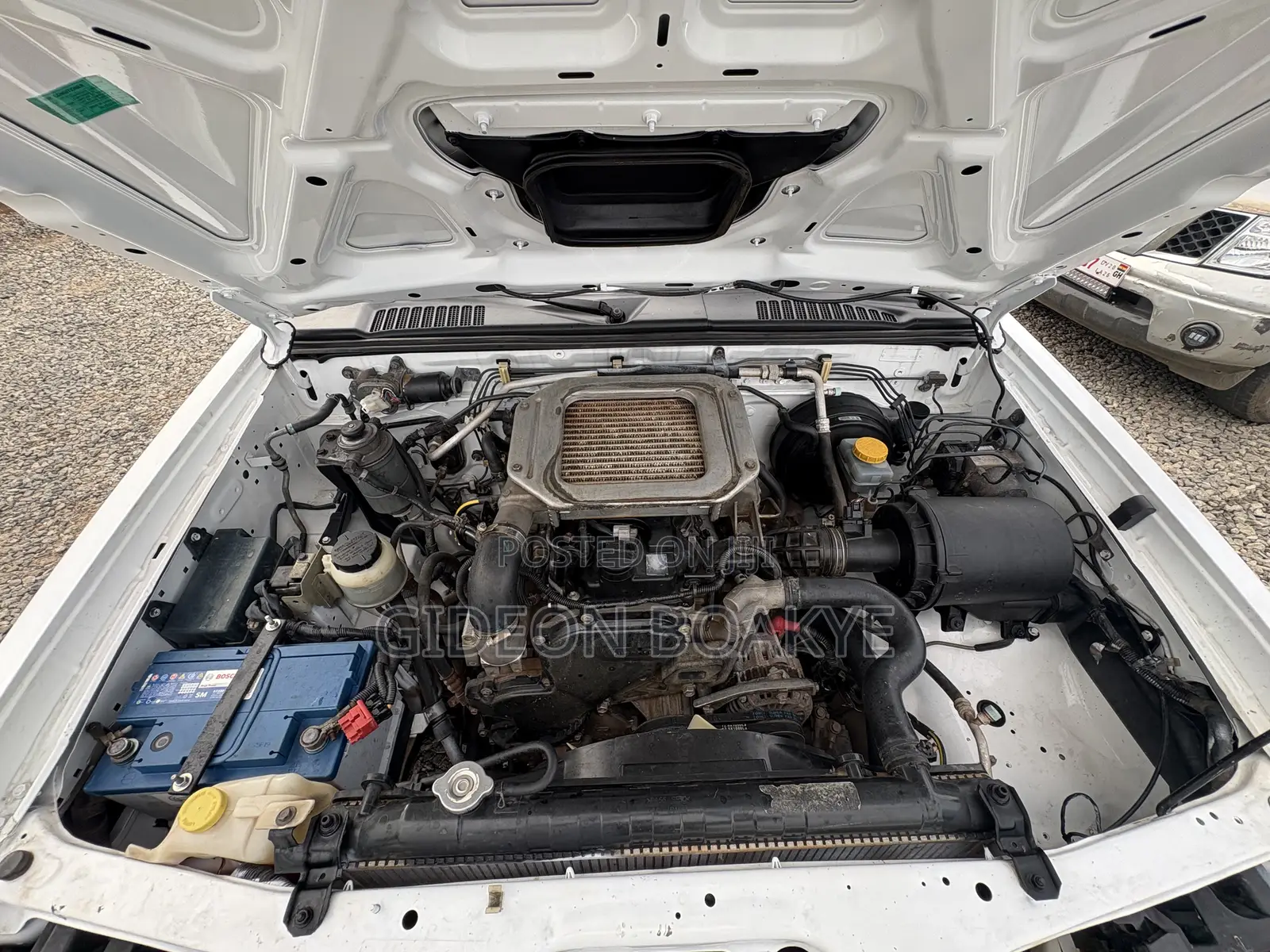 Nissan Hardbody 2020 White