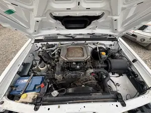 Nissan Hardbody 2020 White